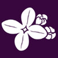 Lilac Software Logo